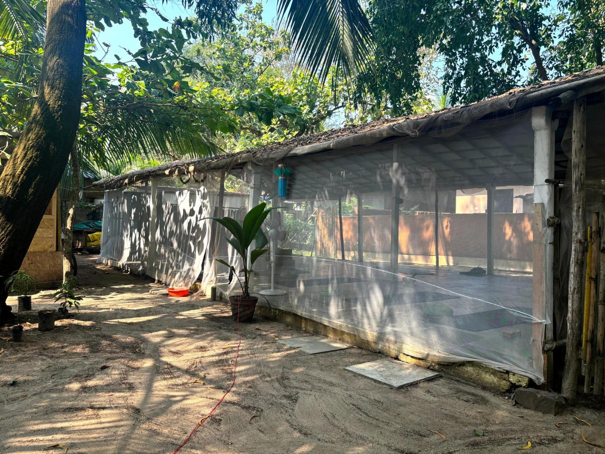 Hotel Yoga Culture Palolem Exterior foto